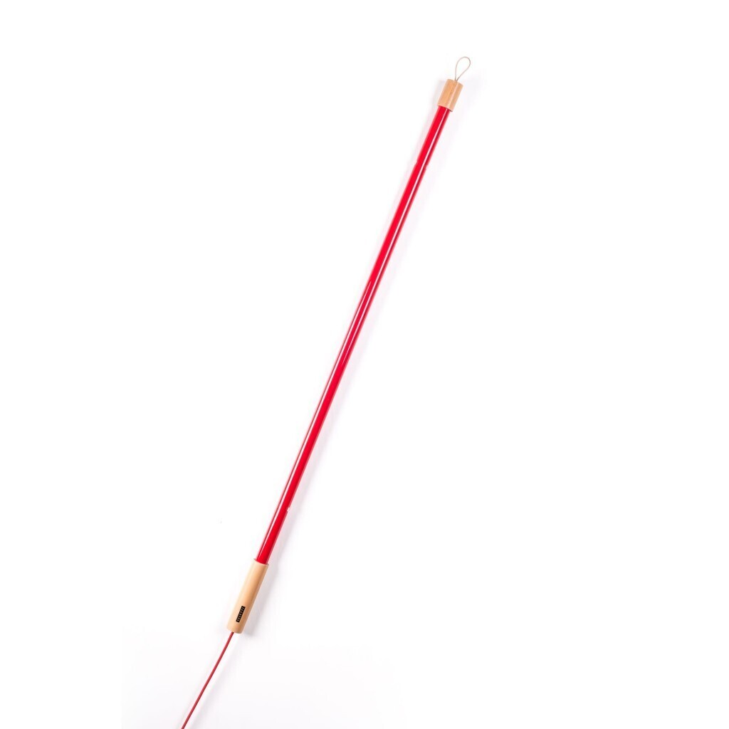 Подвесной светильник   Seletti Linea LED Red 07749 Red