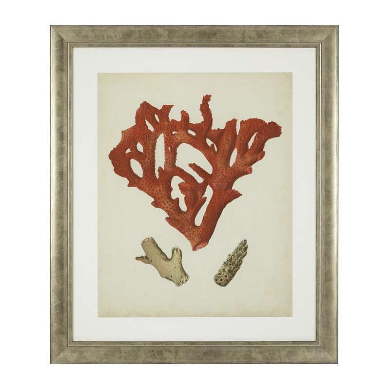 Постер Eichholtz Antique red corals 111741