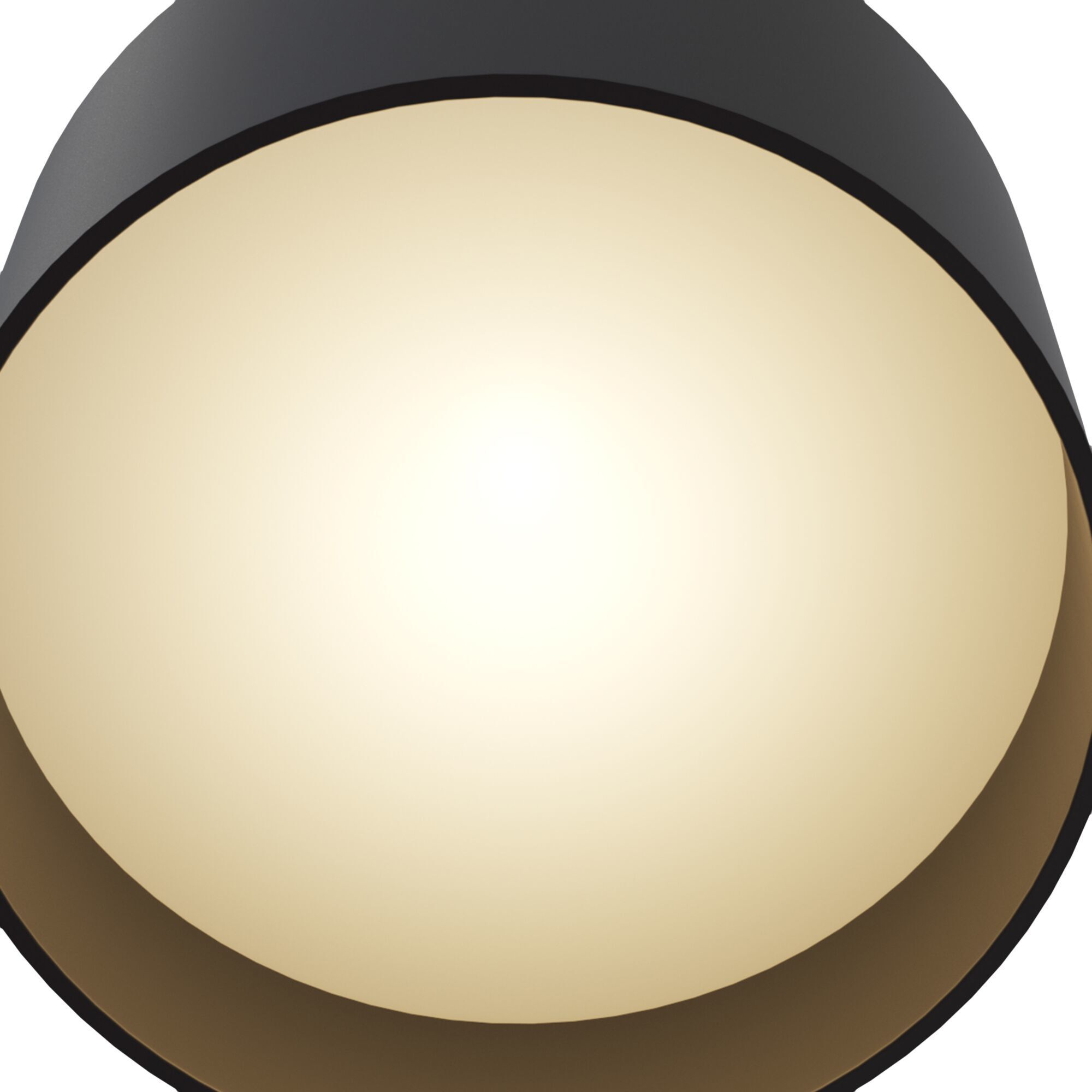 Потолочный светильник Maytoni C009CW-L12B