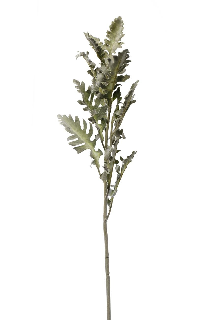 Цинерария Garda Decor 9F28508-5458