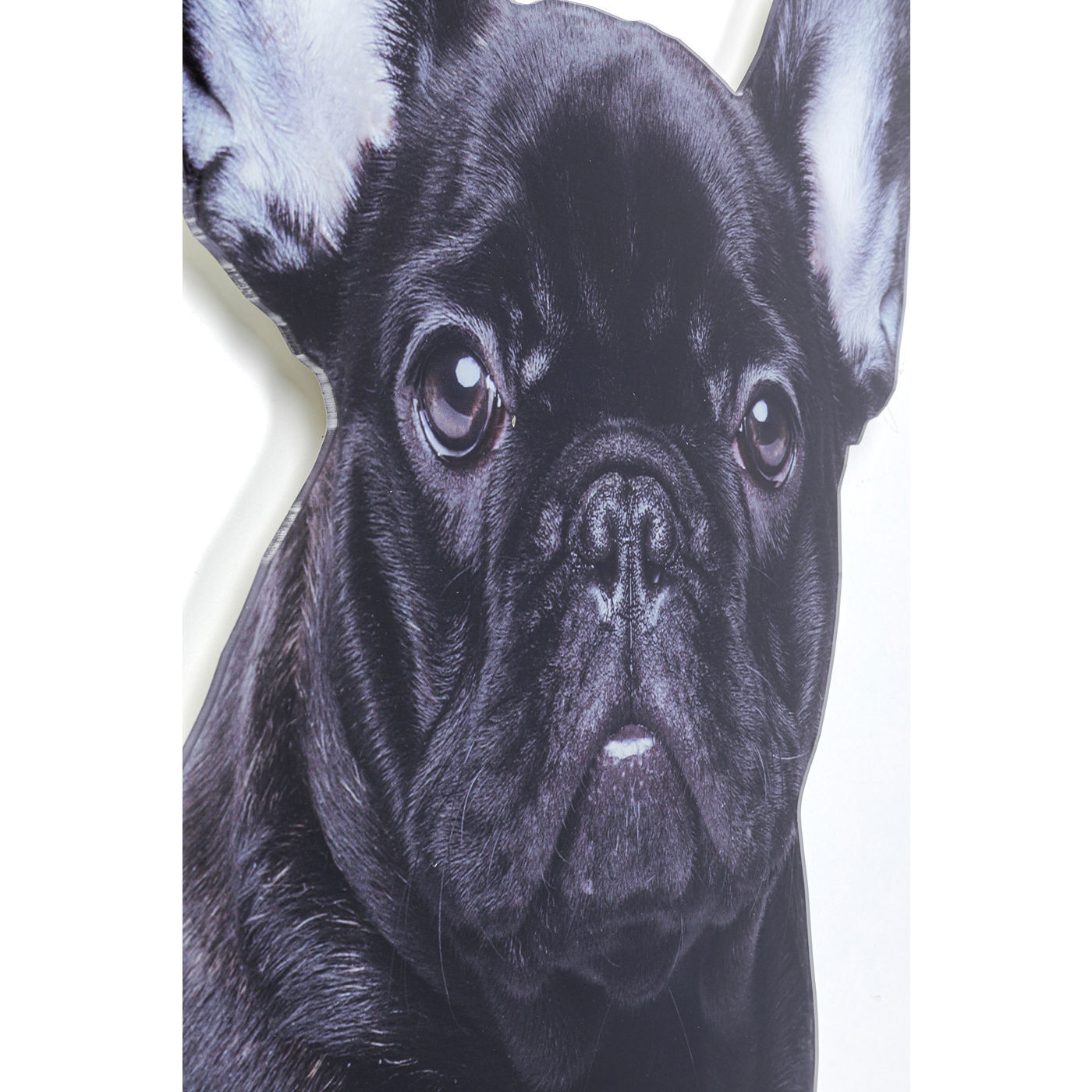 Украшение настенное Dog 52719 KARE