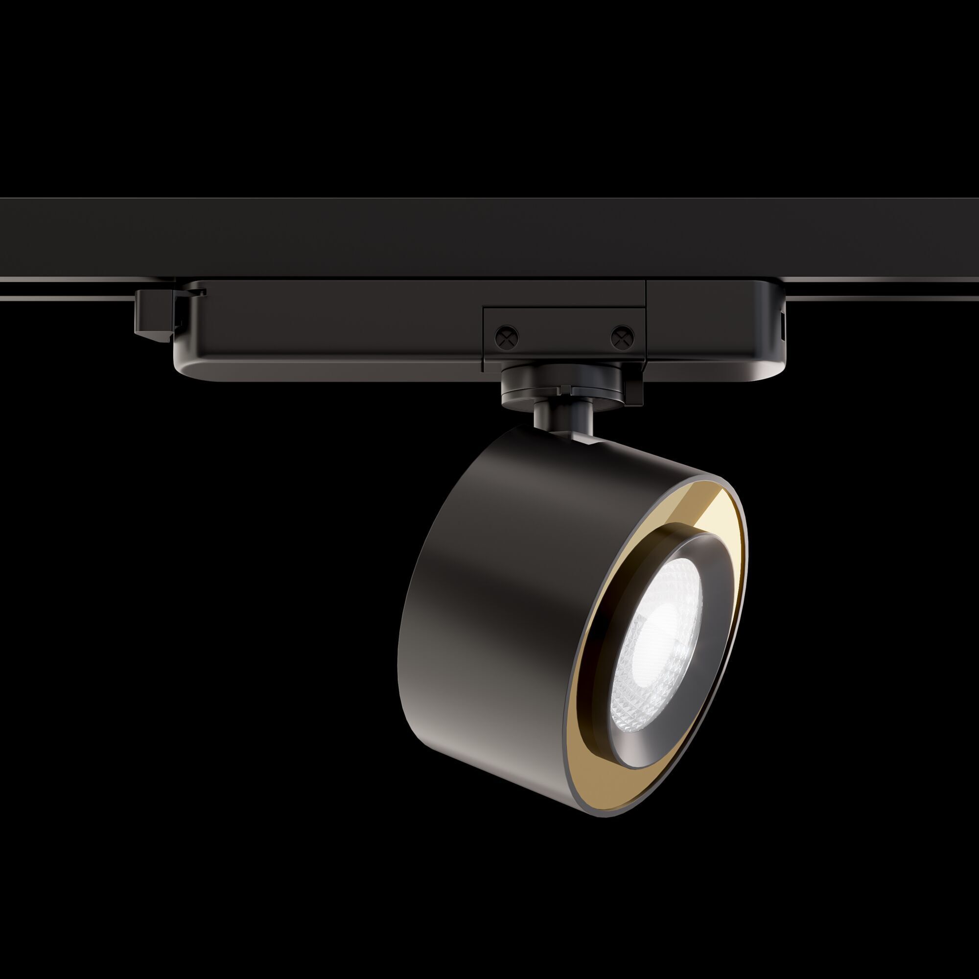 Трековый светильник Maytoni TR023-1-12B3K