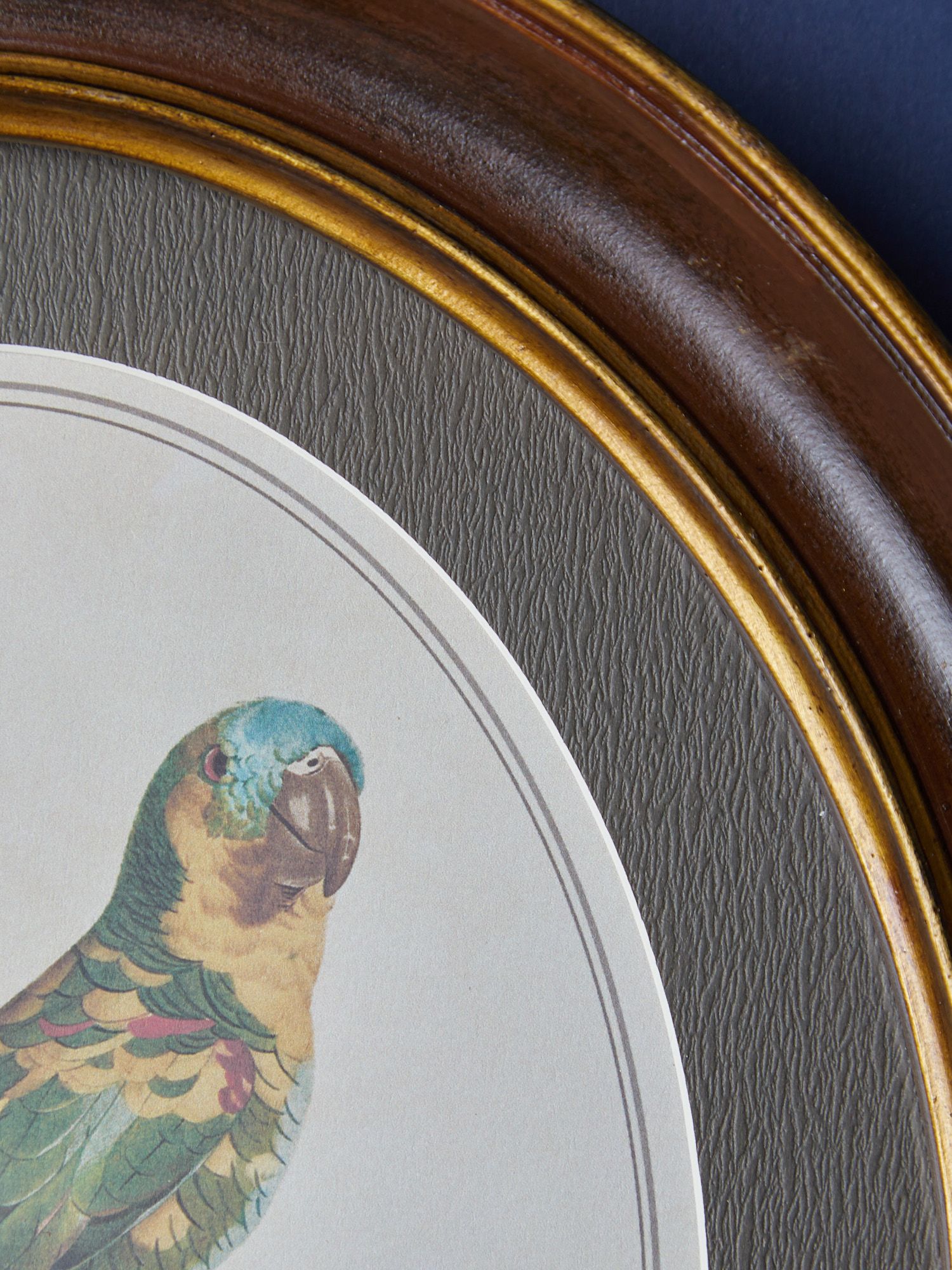 Панно настенное Попугай, под старину Glasar 28-371