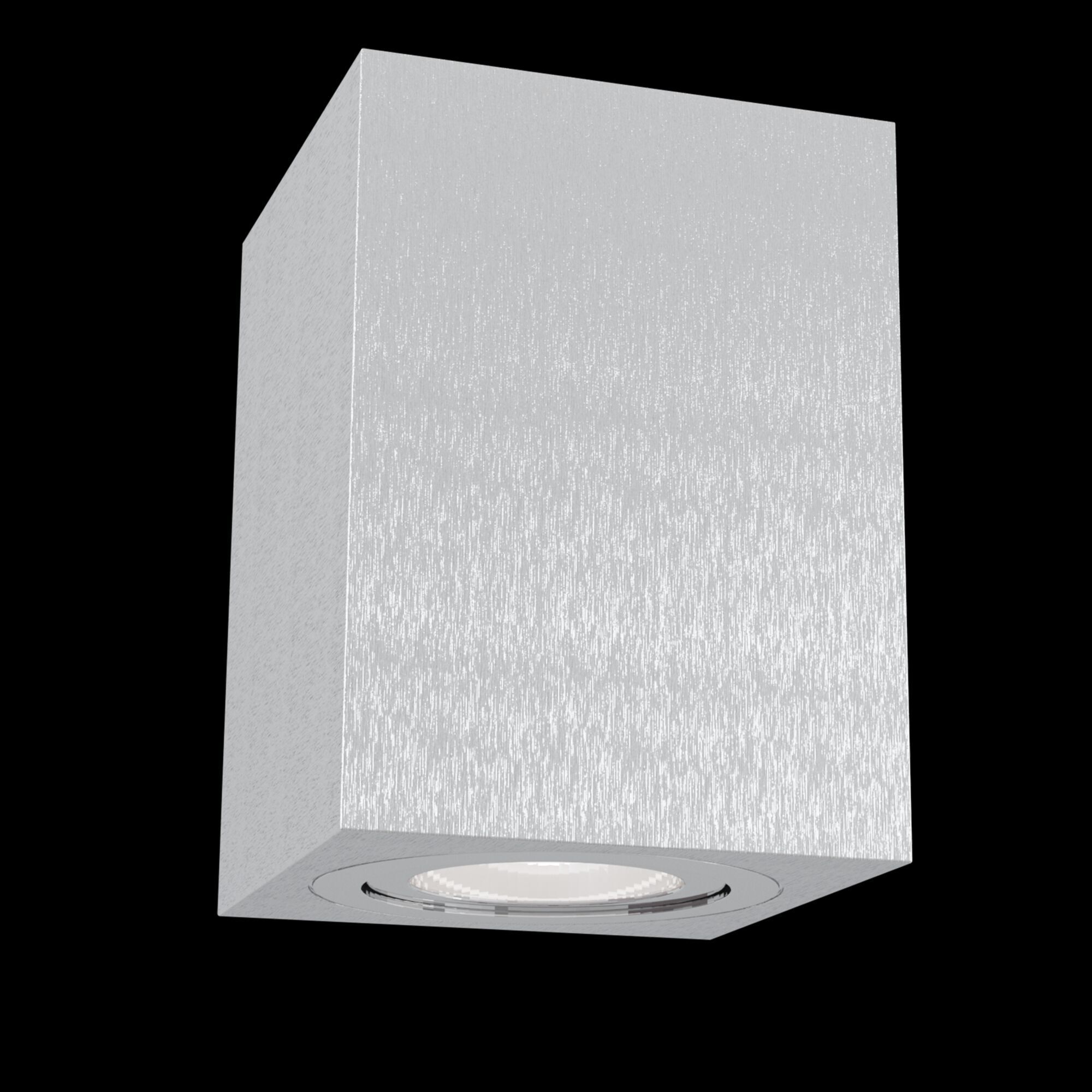 Потолочный светильник Maytoni C017CL-01S