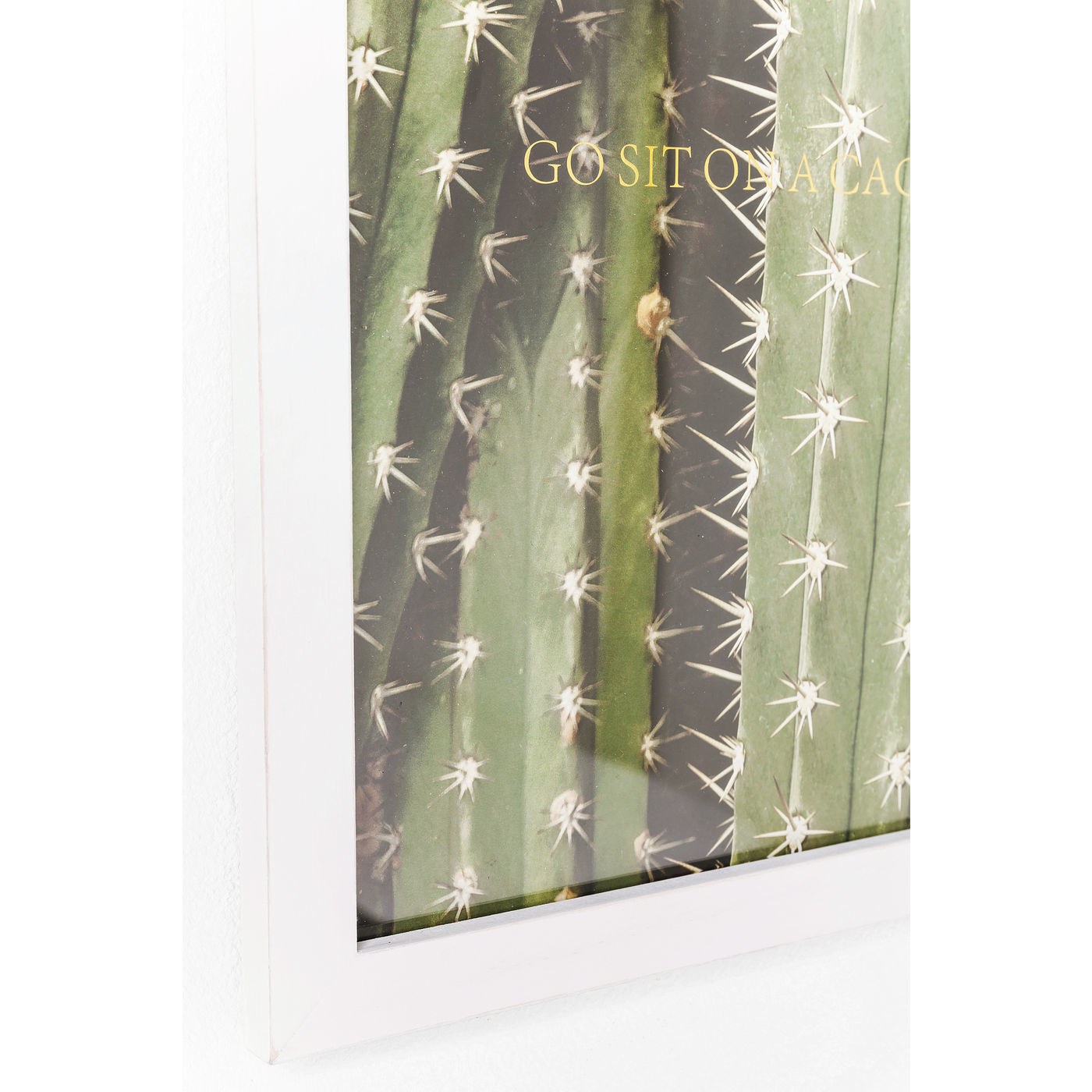 Картина в рамке Cactus 60385 KARE