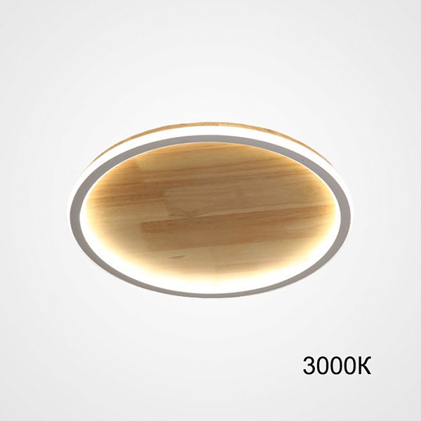 Потолочный светильник DOLAN D20 3000К by ImperiumLoft