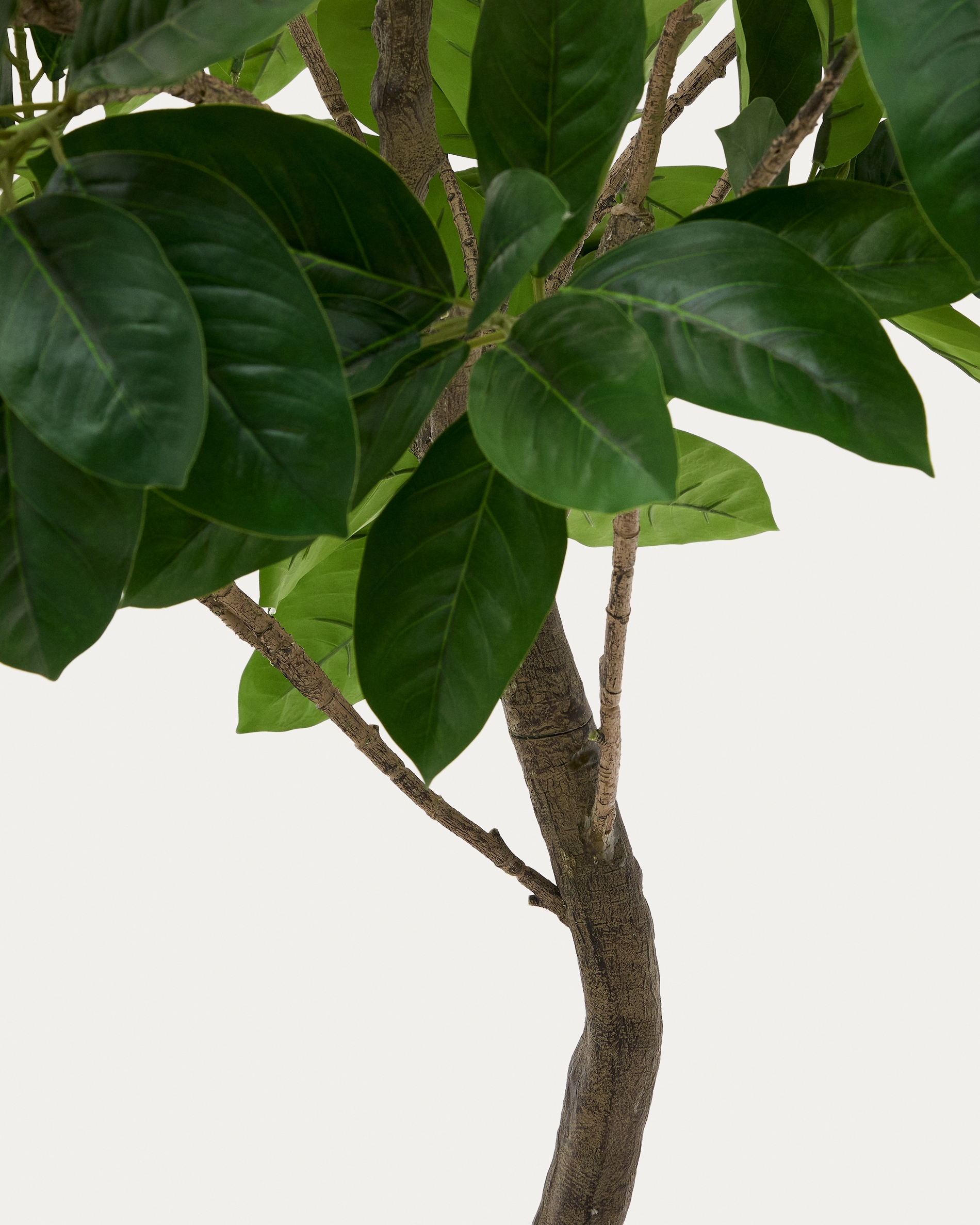 Ficus Искусственное дерево фикус в черном горшке 210 см La Forma (ex Julia Grup)