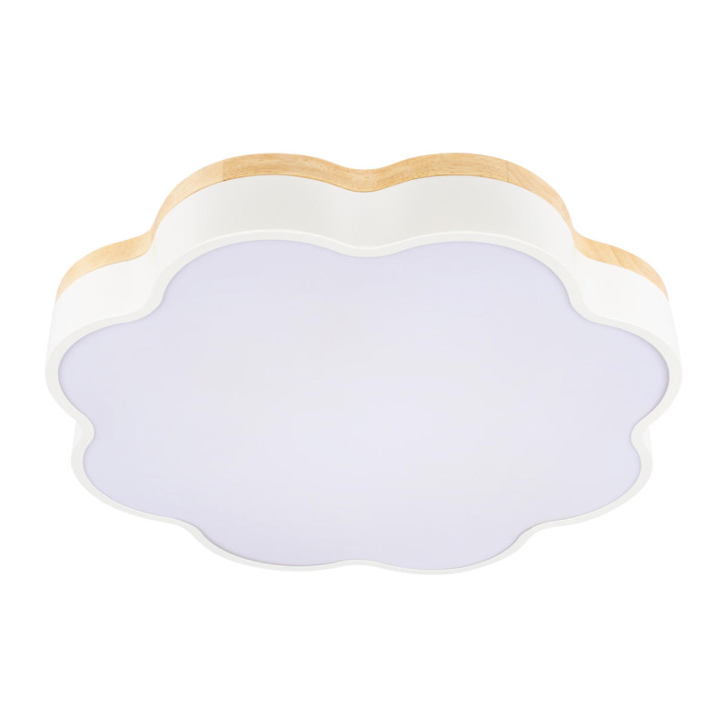 Накладной светильник LOFT IT 10225/36 White