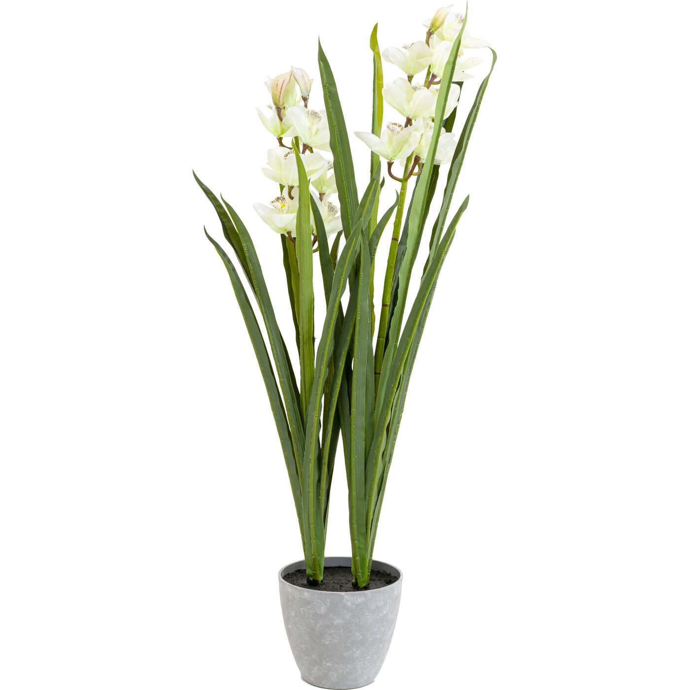 Растение декоративное Orchid 100m KARE 58434