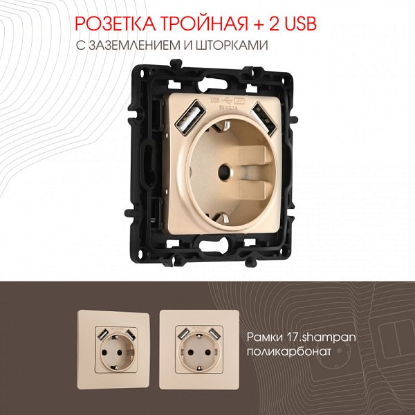 Розетка Arte Milano 217.47-1.shampan
