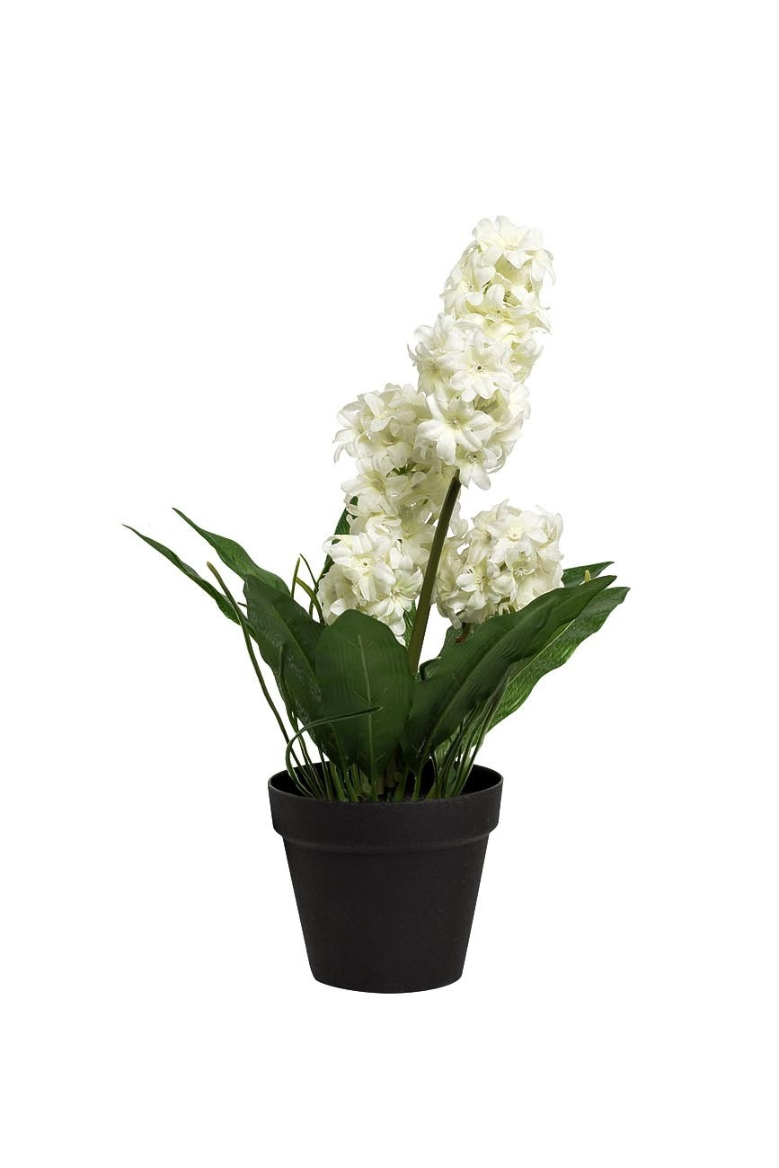 Гиацинт белый в горшке Garda Decor 8J-K0013/2