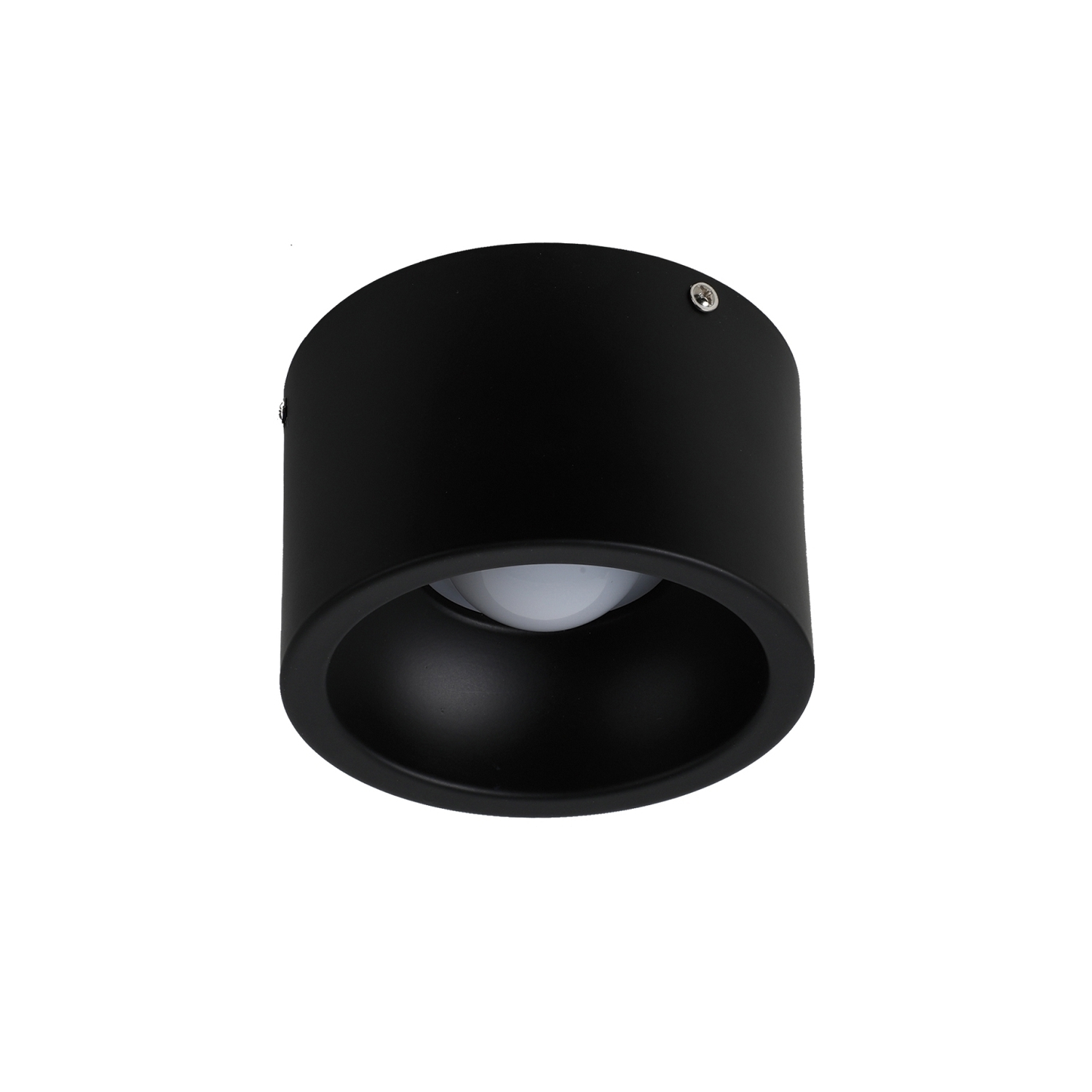 Потолочный светильник Favourite 1995-1C