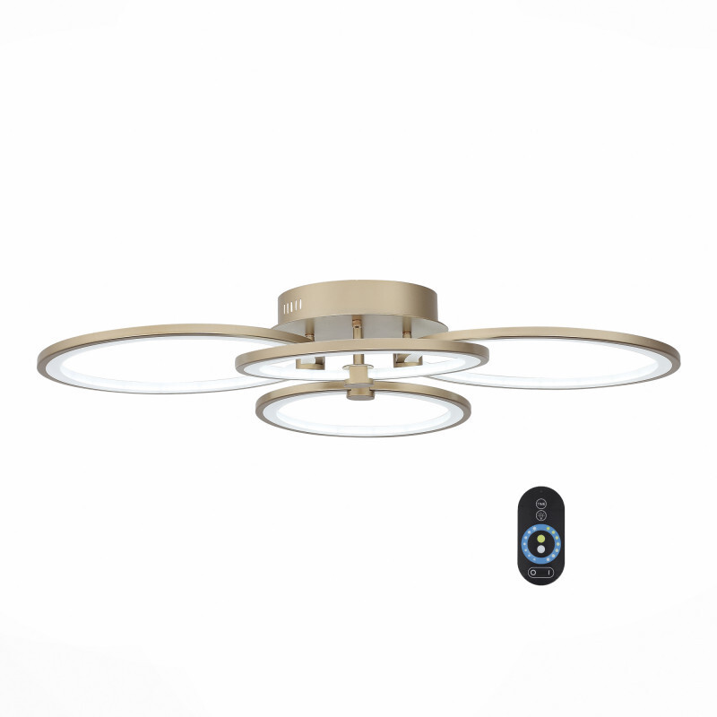 Накладной светильник ST Luce SL867.202.04