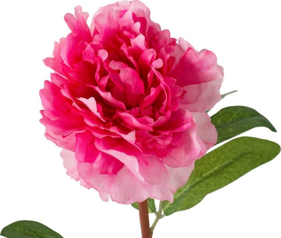 Искусственный цветок Пион Glasar F2653-FUSC