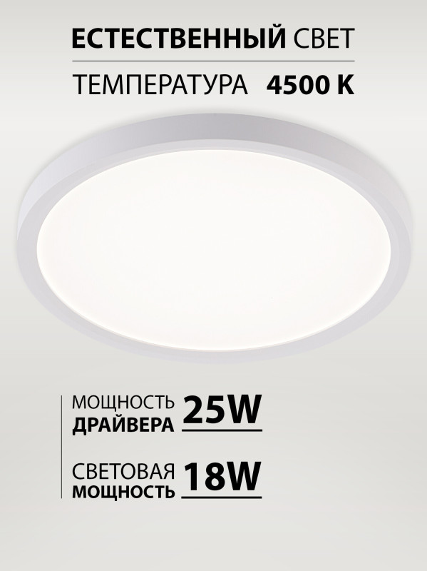 Накладной светильник Natali Kovaltseva LED LAMPS 81113/2C