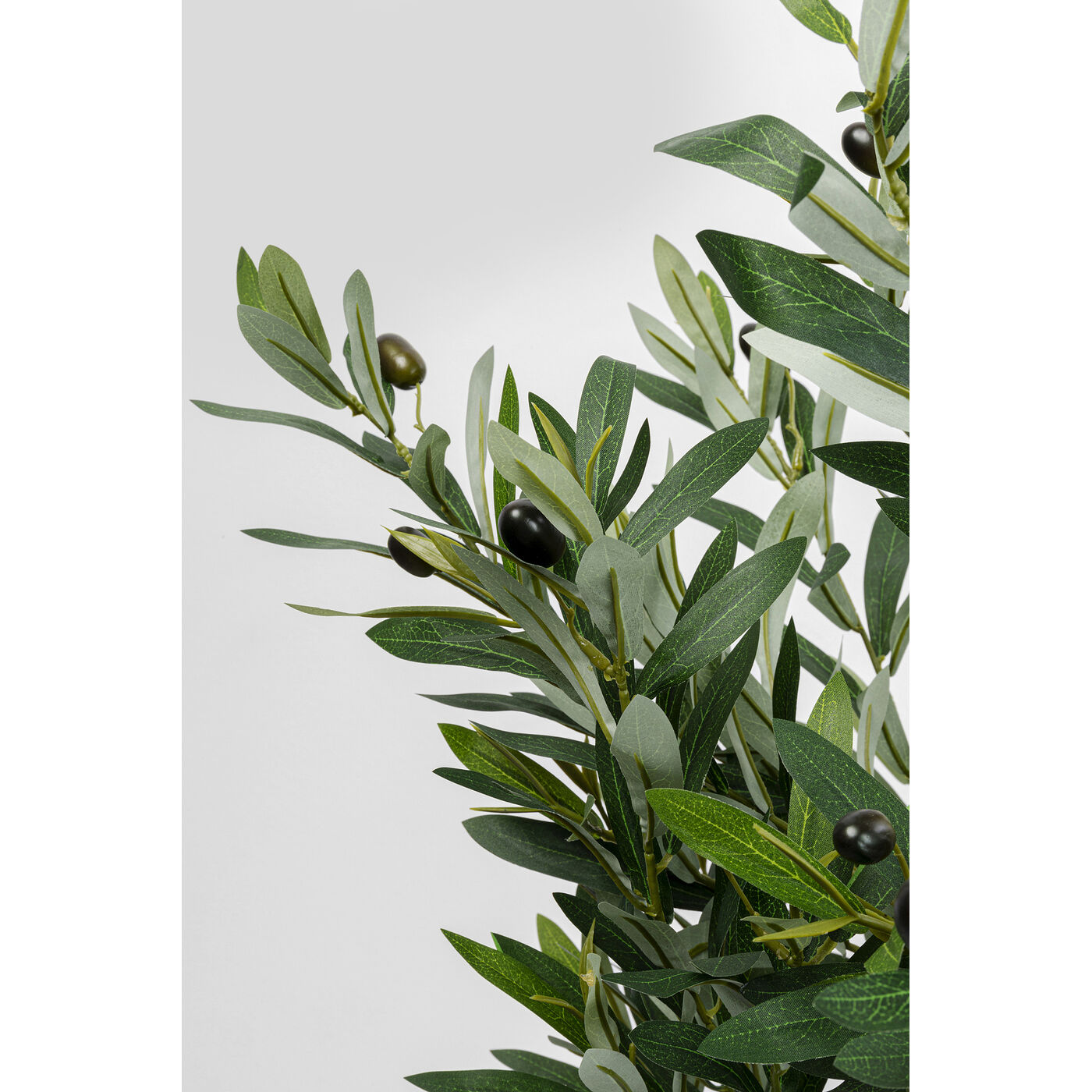 Растение декоративное Olive Tree 150 см KARE 55924