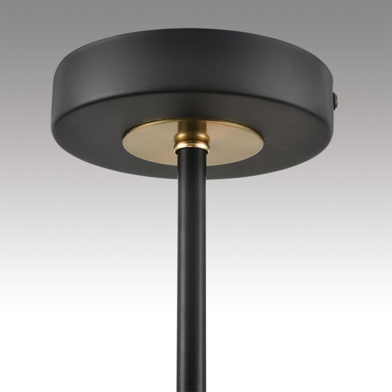 Светильник потолочный Lumion 8153/6C