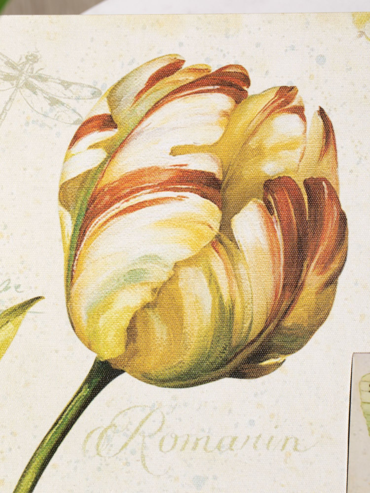 Шкатулка Glasar 29-524/1