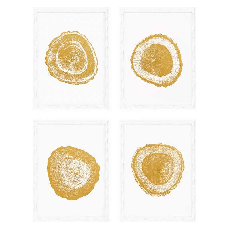 Постер Eichholtz Gold Foil: Tree Rings 110875