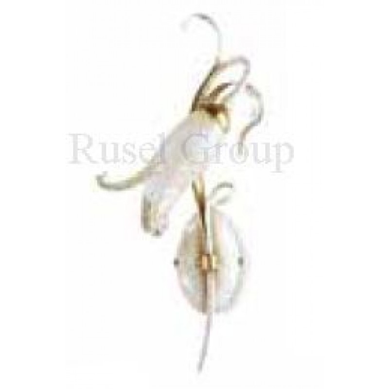 Настенный светильник Florenz Lamp 2400.D1B