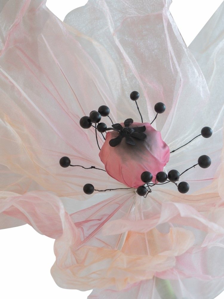 Растение декоративное Мак Glasar F98605