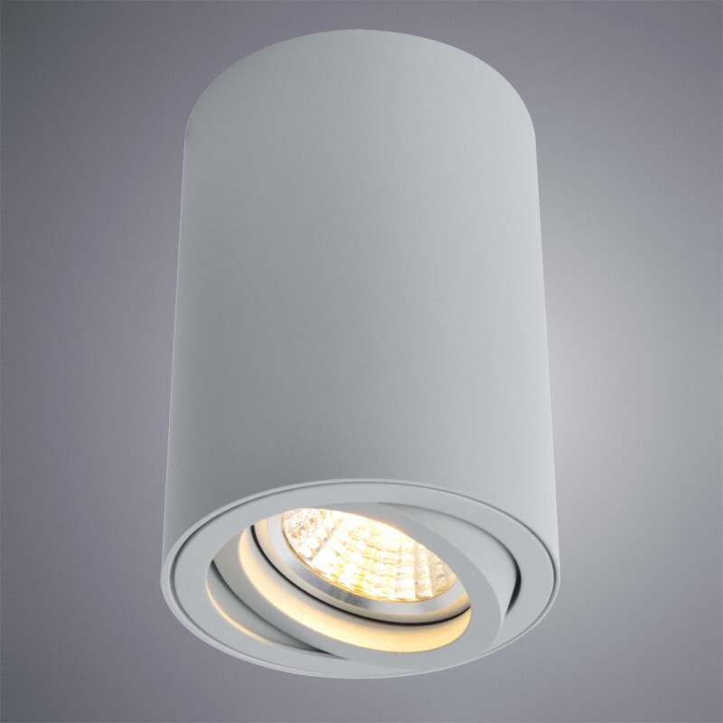 Накладной светильник Arte Lamp A1560PL-1GY