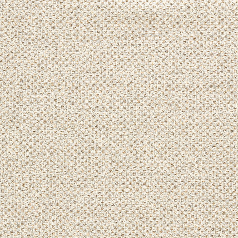 Текстиль Clarke & Clarke Espectro Weaves F1803/01