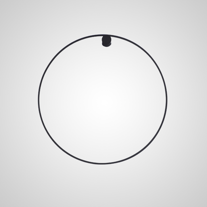 Настенный светильник WILD RING A D50 Black by ImperiumLoft