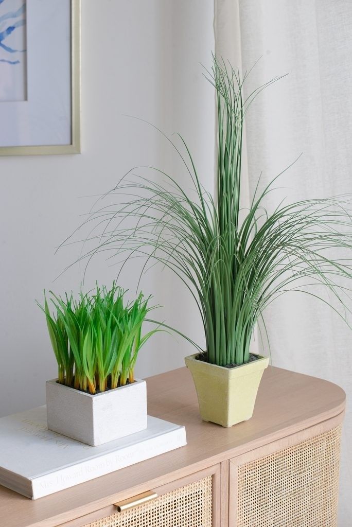 Растение декоративное Трава Glasar 29091