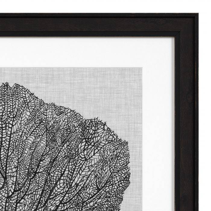 Постеры  Eichholtz Prints EC 289 Shadow Sea Fan 112752
