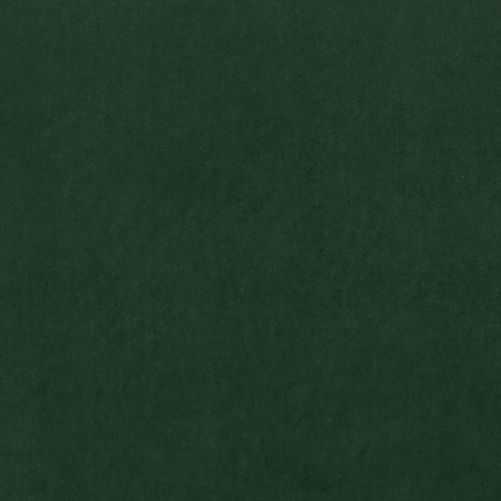 Текстиль Clarke & Clarke Alvar 2 F0753/63