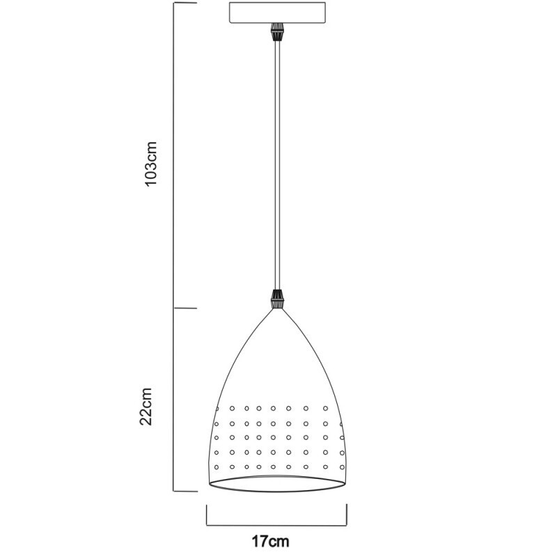 Подвесной светильник Arte Lamp A4081SP-1SS