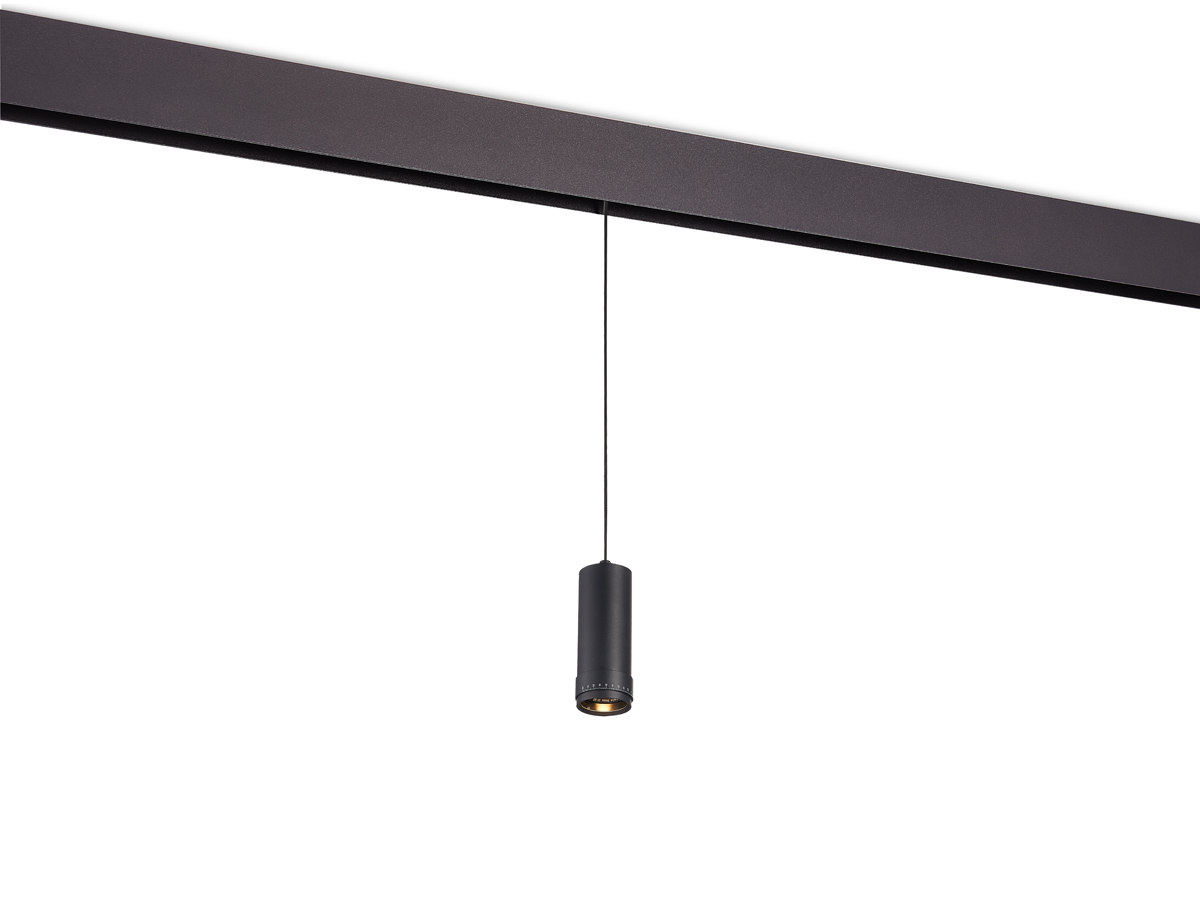 Светодиодный светильник Donolux DL20299WW10BS