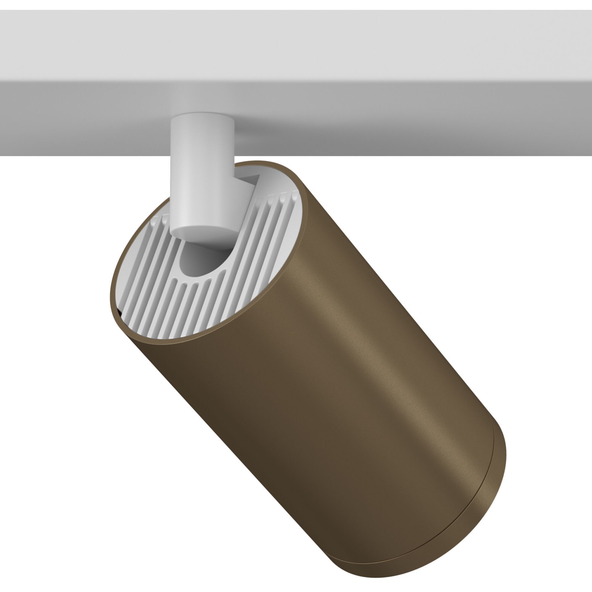 Потолочный светильник (Набор) Maytoni C051CL-2WBZ