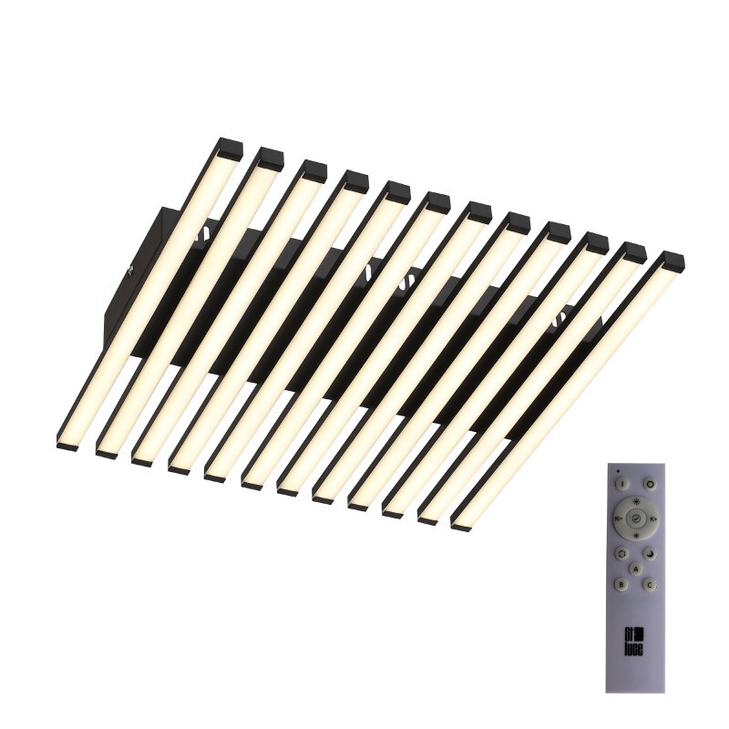 Накладная люстра ST Luce SL839.402.18