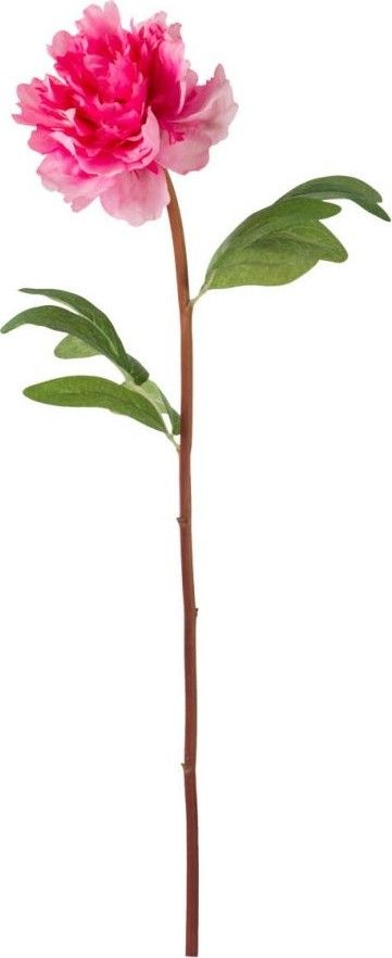 Искусственный цветок Пион Glasar F2653-FUSC