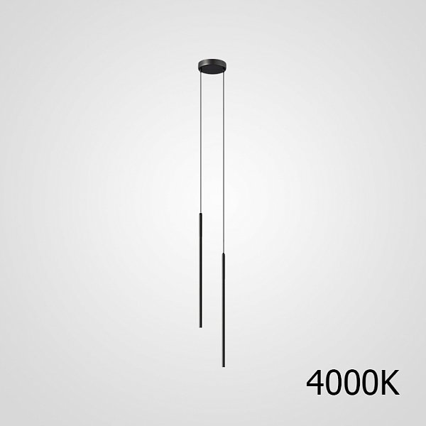 Комбинация светильников ATTA DUO L BLACK 4000 by ImperiumLoft