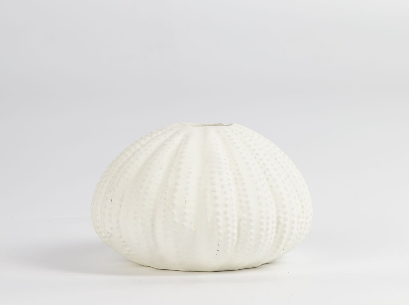 Подсвечник Ракушка Glasar 28-568