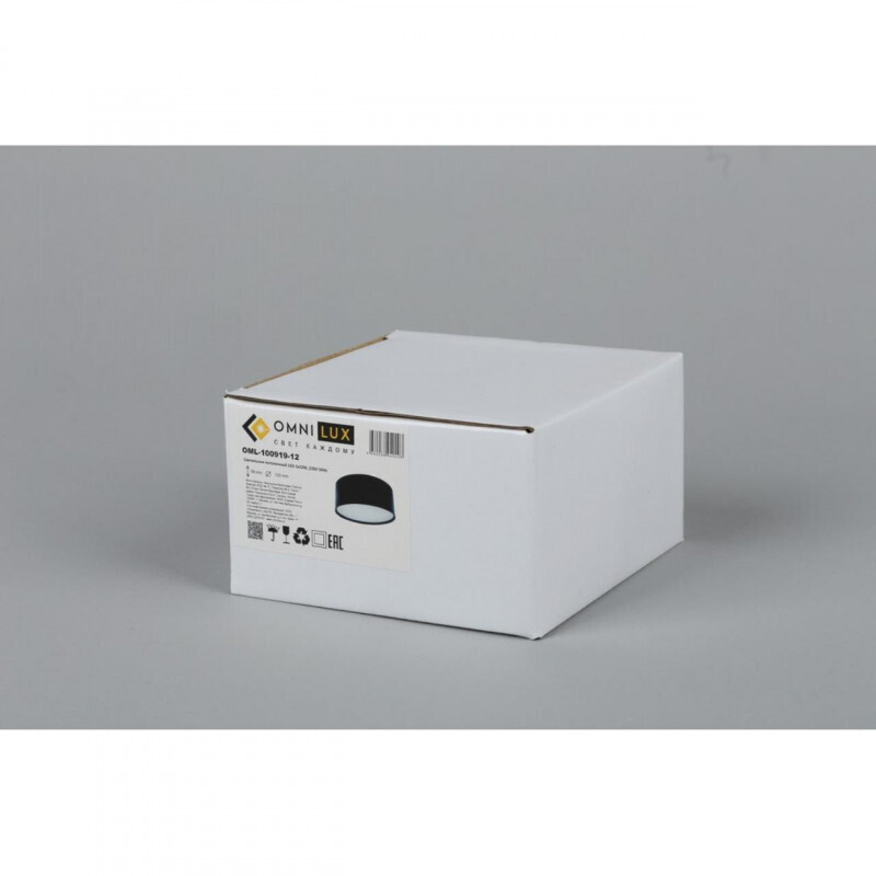 Накладной светильник Omnilux OML-100919-12