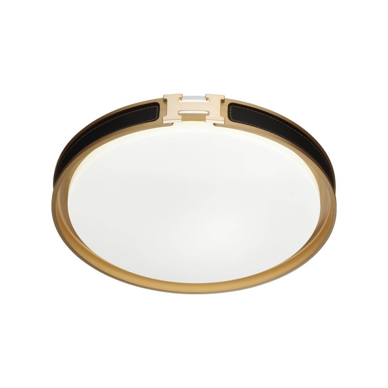 Настенно-потолочный светильник Sonex 7667/DL