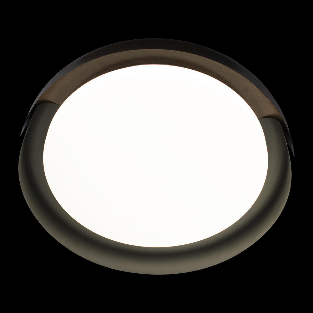 Потолочный светильник LOFT IT Coin 10198 Black