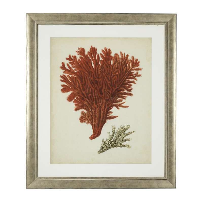 Постер Eichholtz Antique red corals 111741