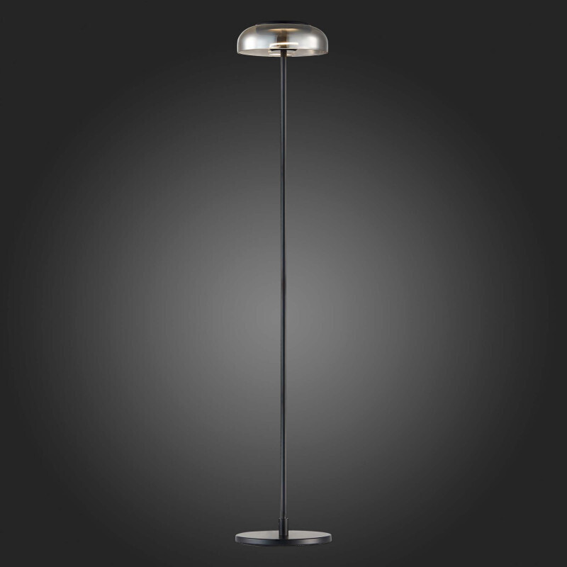 Торшер ST-Luce SL6002.405.01