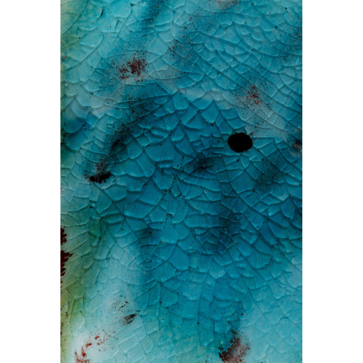 Миска Kassandra 22x14 см KARE 56358