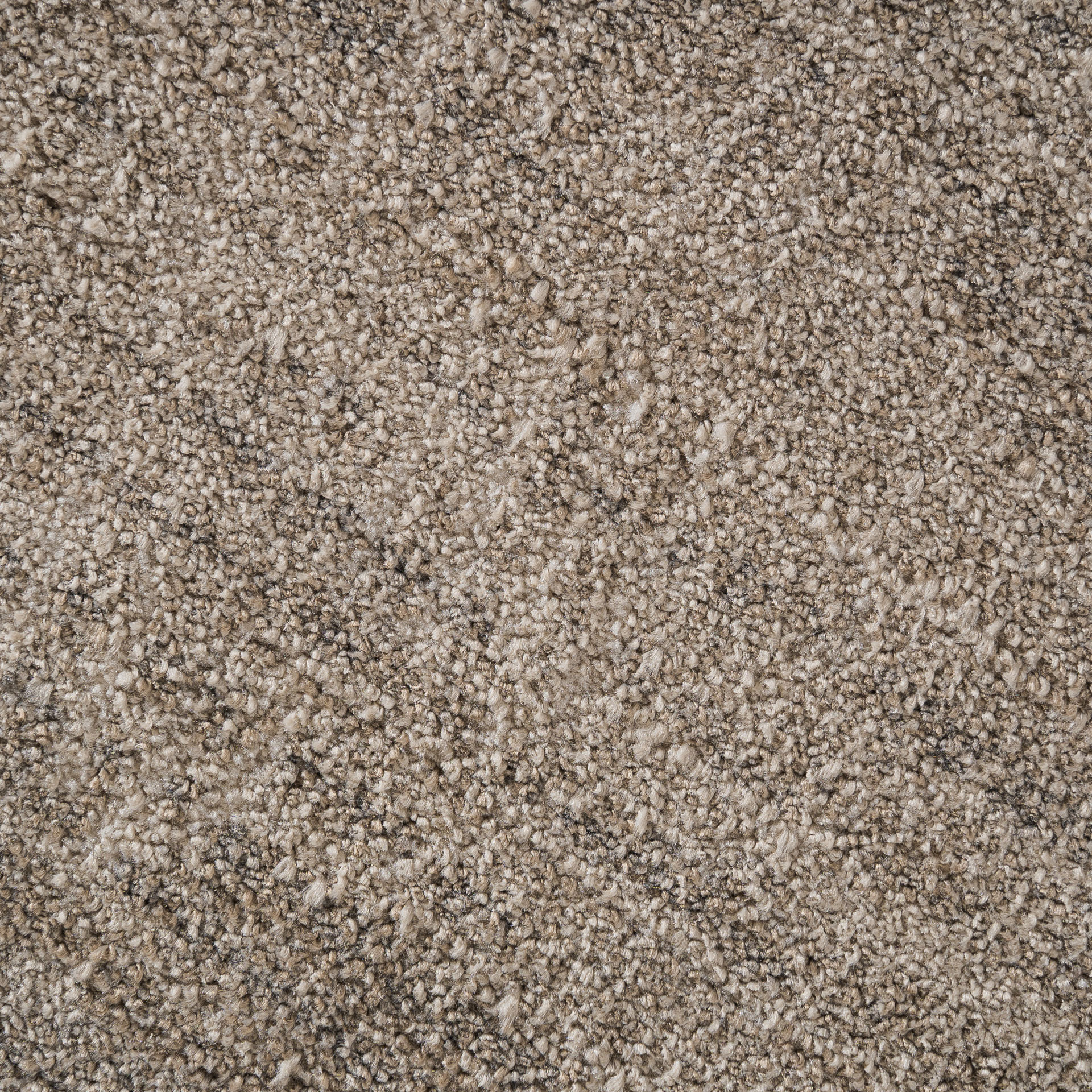 Ковер Blasse Vical