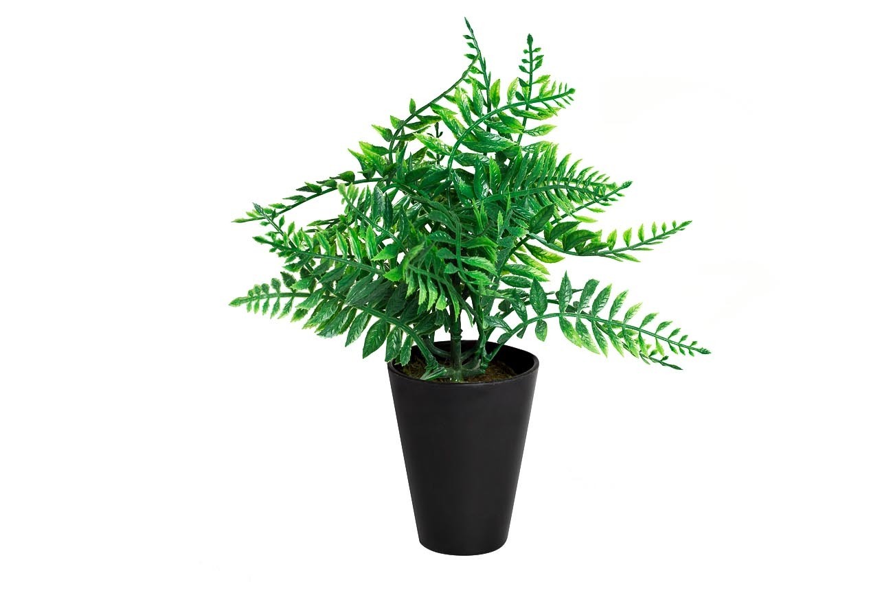 Папоротник в горшке Garda Decor 8J-18CK0018