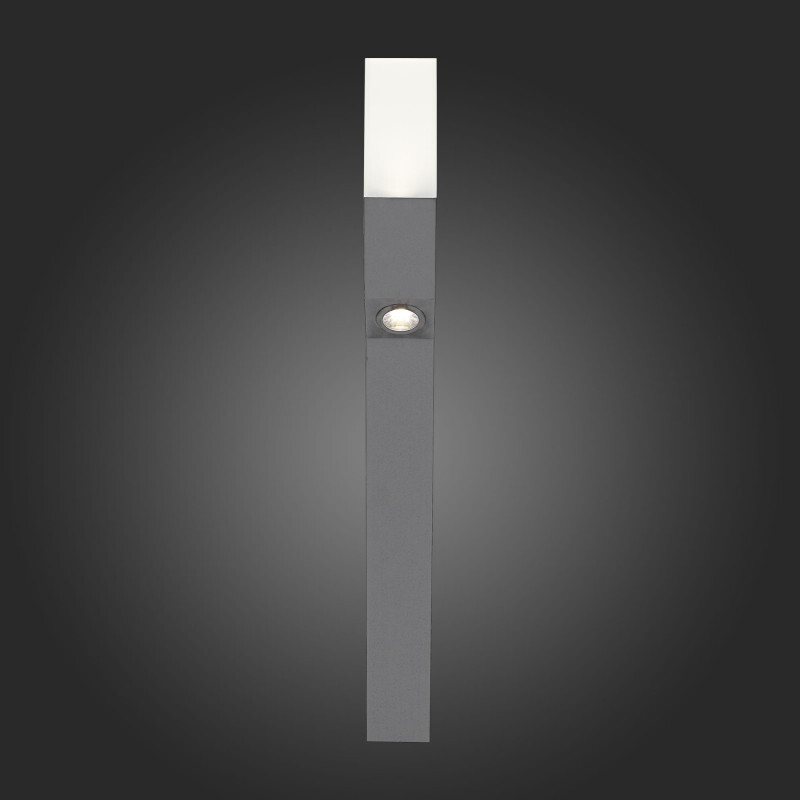 Садовый светильник ST Luce SL100.705.02