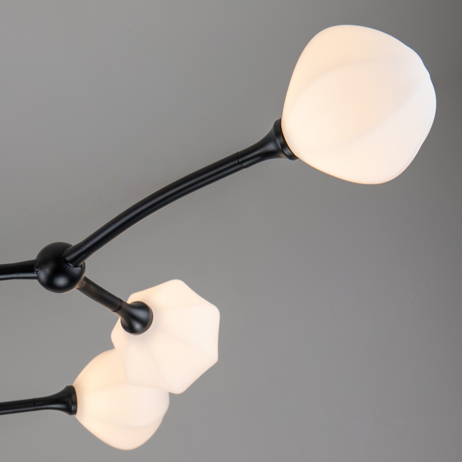 Потолочный светильник Favourite 2688-9P