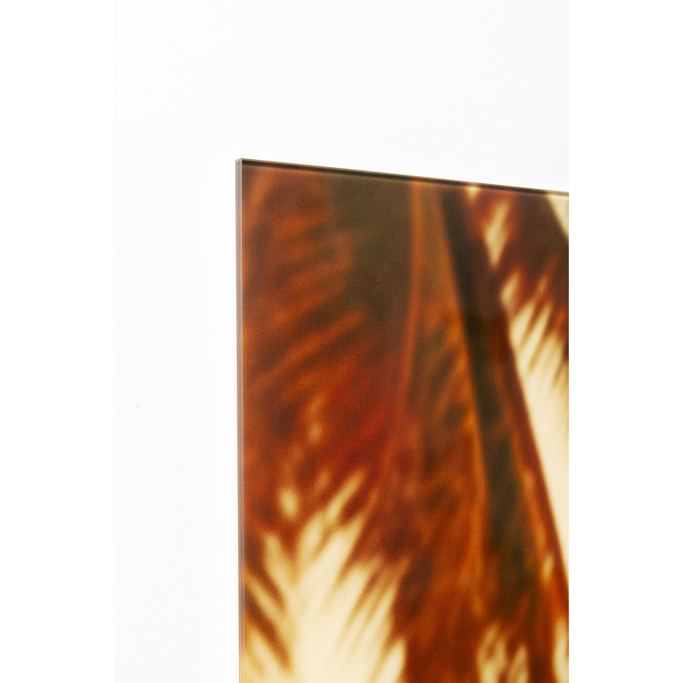 Картина стеклянная Holiday Monkey 80x60 см KARE 56272