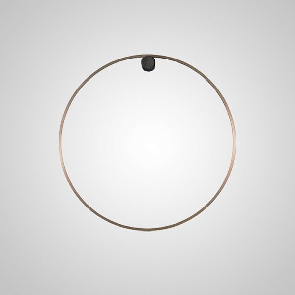 Настенный светильник WILD RING A D50 Brass by ImperiumLoft